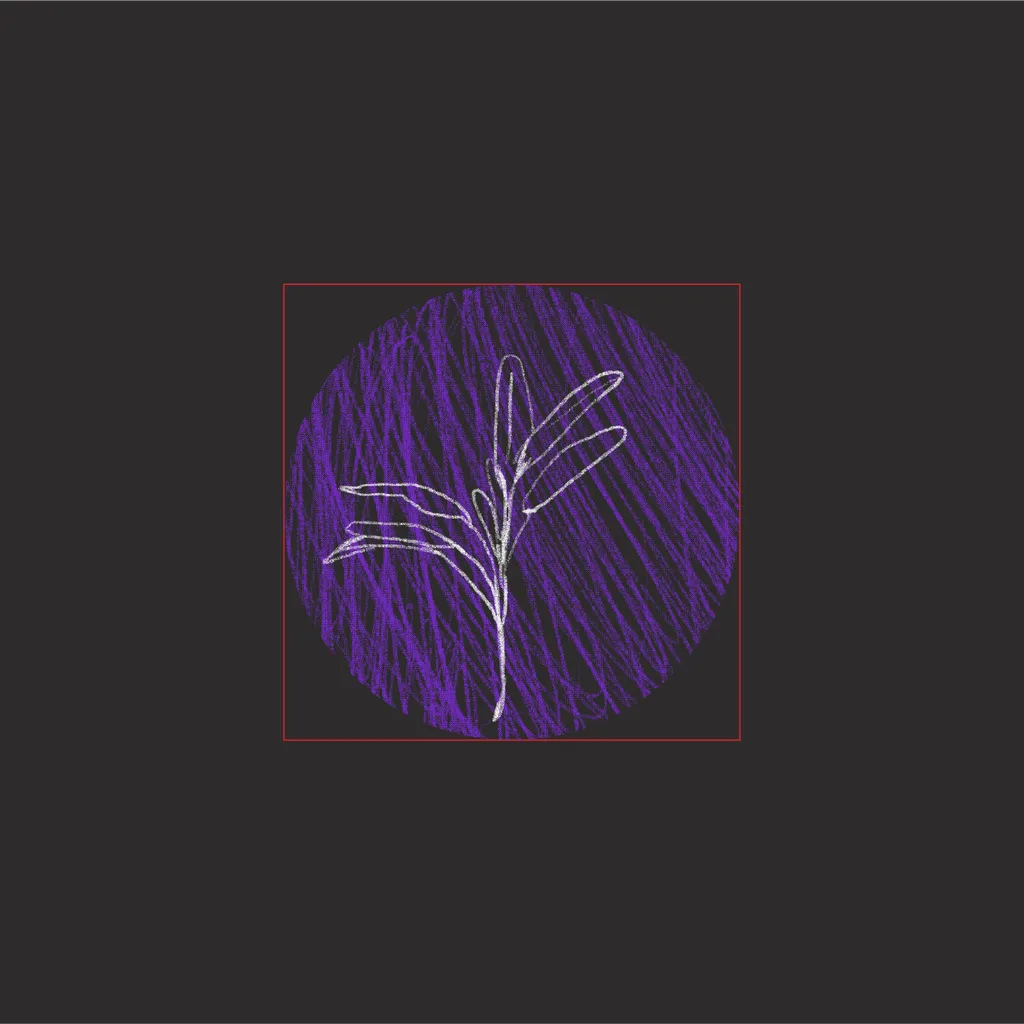 A drawing of a single sage plant, surrounded by pencil marks.